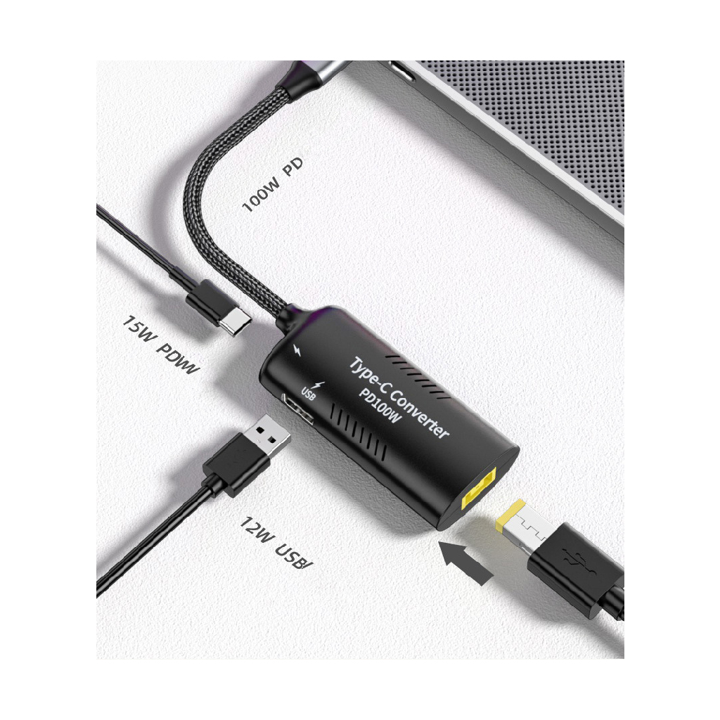 100W verloopstekker voor Lenovo Female Rectangle / Male Typec USB-C