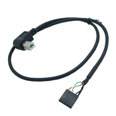 USB Type-B Male to USB 9-Pin Cable,30CM, Black